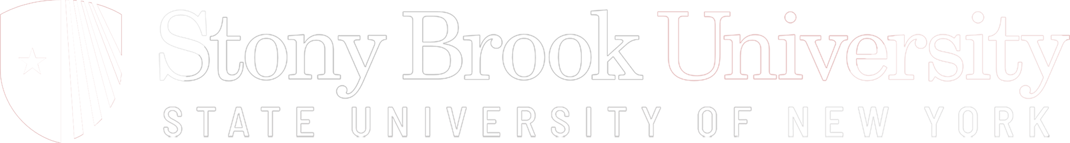 Stony Brook University — State University of New York